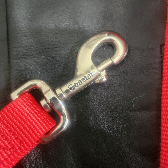 2-LEASHES COASTAL PET 6' HEAVY DUTY NYLON & CORDED / BRAIDED DOG LEASHES - Picture 8 of 8